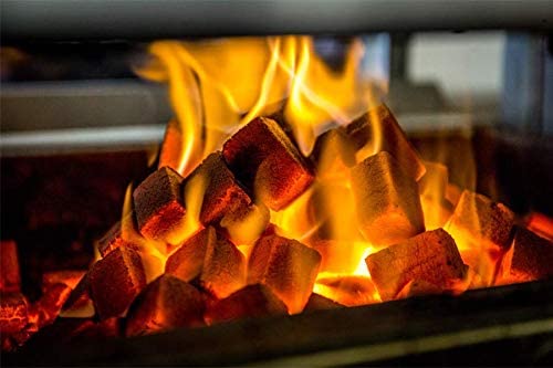 Briket Arang - Gambar 5